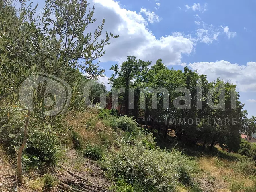 Immagine 10 di Terreno residenziale in vendita  in Via A. Onofri a Corciano