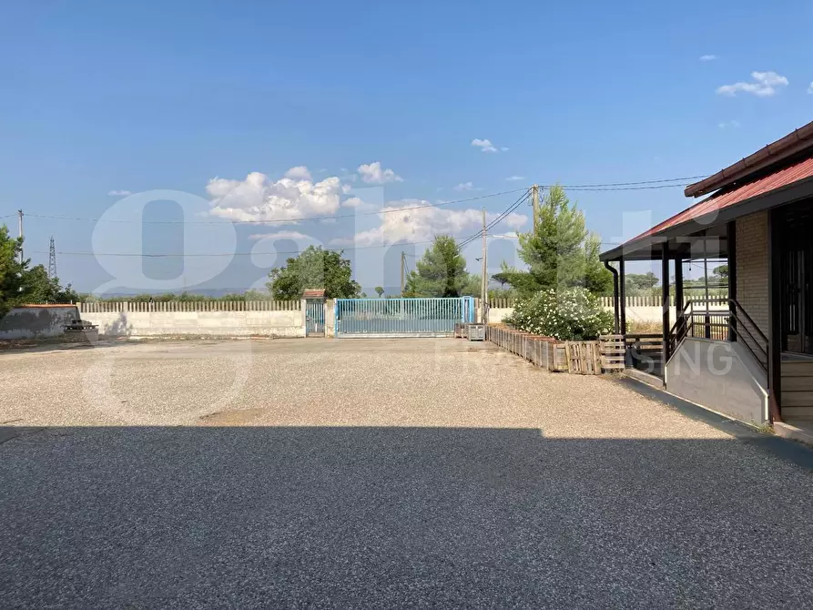 Immagine 1 di Palazzo in vendita  in Strada Statale 16 a San Severo