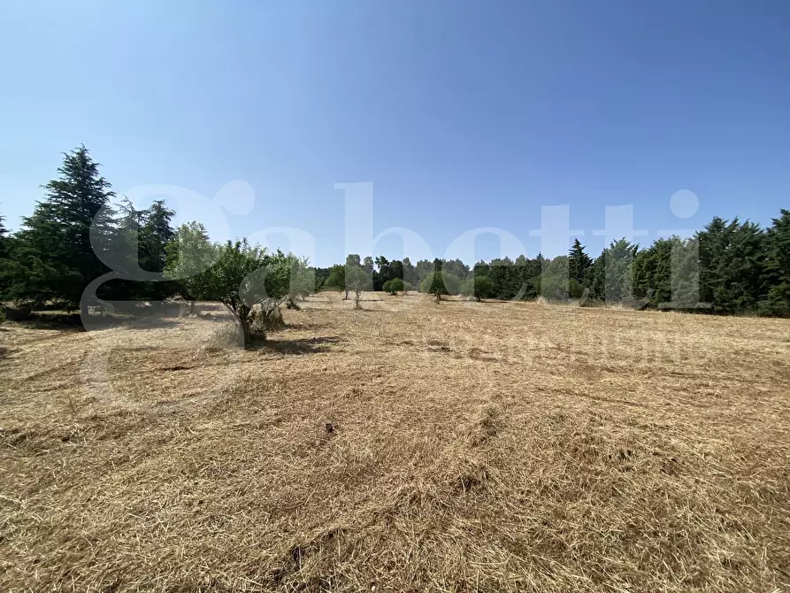 Immagine 23 di Villa in vendita  in Via S.P. 18, 76 a Cassano Delle Murge