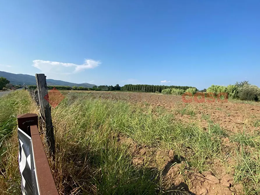 Immagine 32 di Terreno agricolo in vendita  in LocalitÃ  Starzella, SNC a Falciano Del Massico