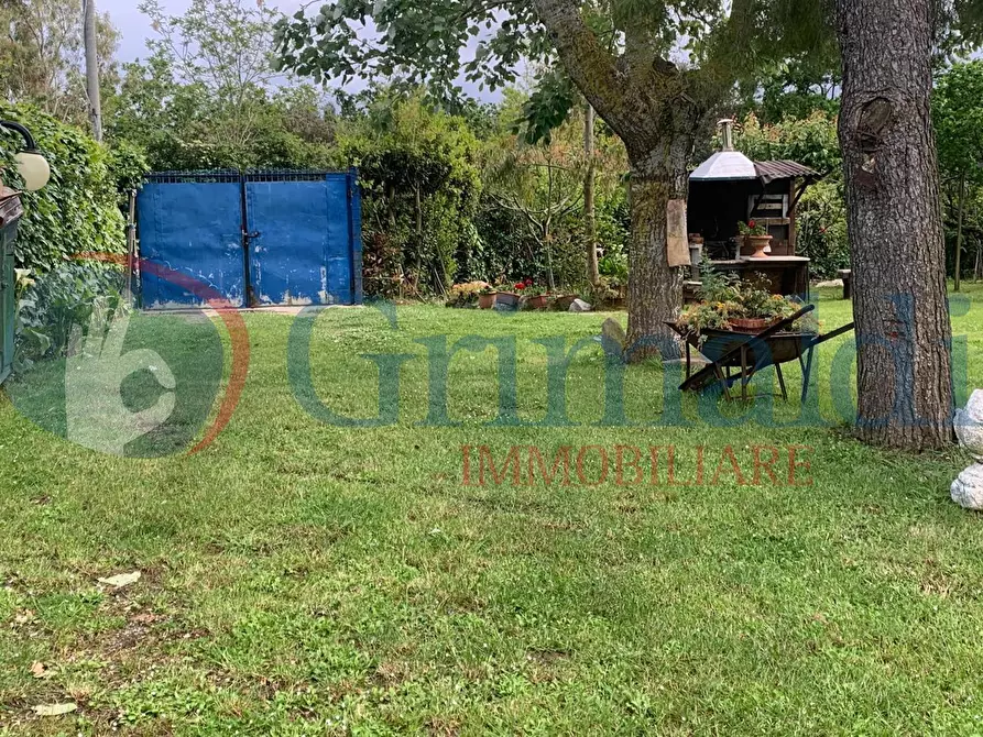 Immagine 5 di Terreno agricolo in vendita  in Via dell'uliveta a Livorno