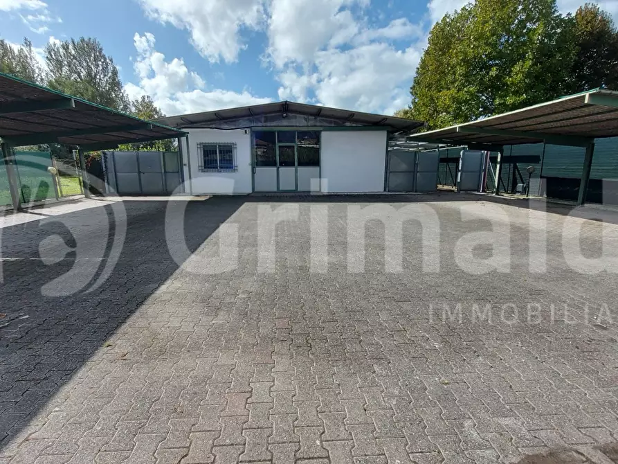 capannone in affitto a Massa in zona Marina dei Ronchi