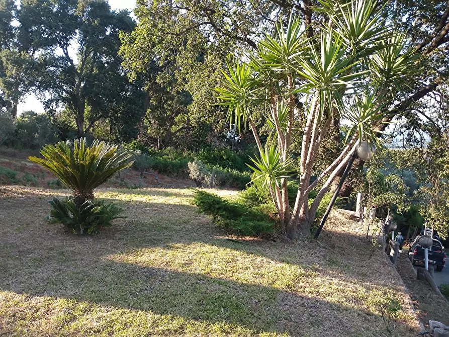 Immagine 40 di Villa in vendita  in LocalitÃ  MULUCCHINI, SNC a Amaroni