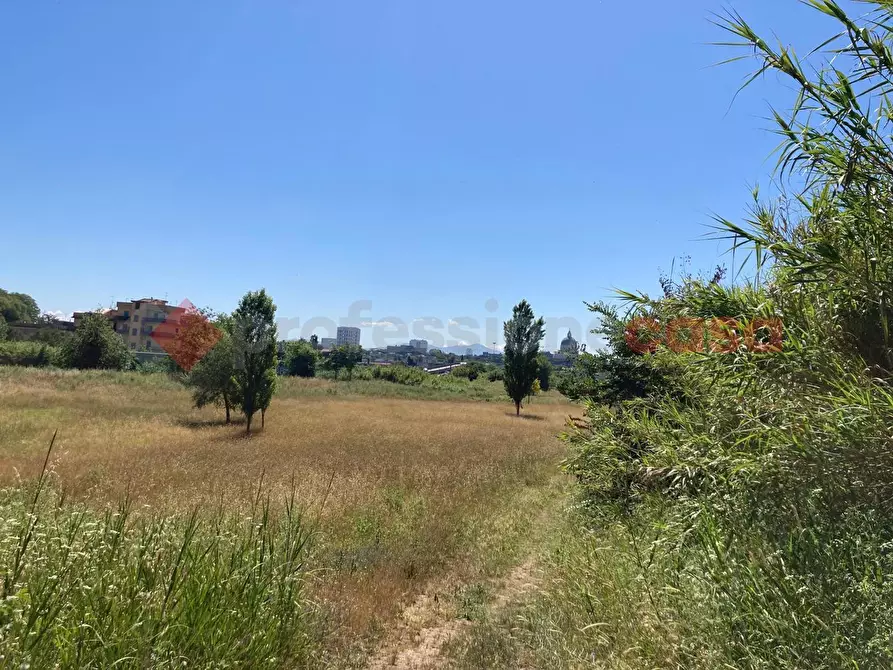 Immagine 8 di Rustico / casale in vendita  in Vicolo papa leone, snc a Roma