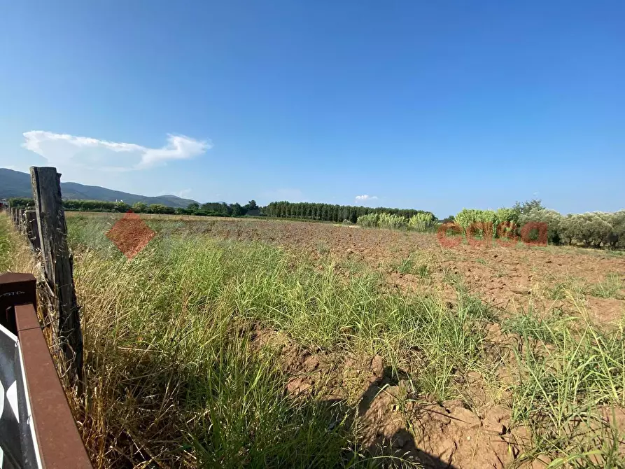 Immagine 21 di Terreno agricolo in vendita  in LocalitÃ  Starzella, SNC a Falciano Del Massico