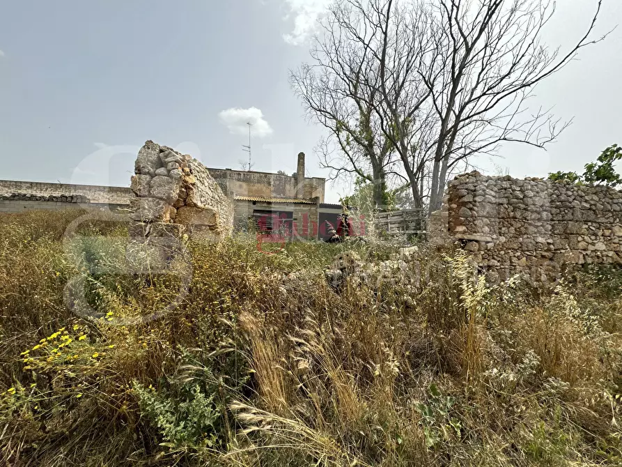 Immagine 20 di Villa in vendita  in Strada Provinciale 101, 1 a Campi Salentina