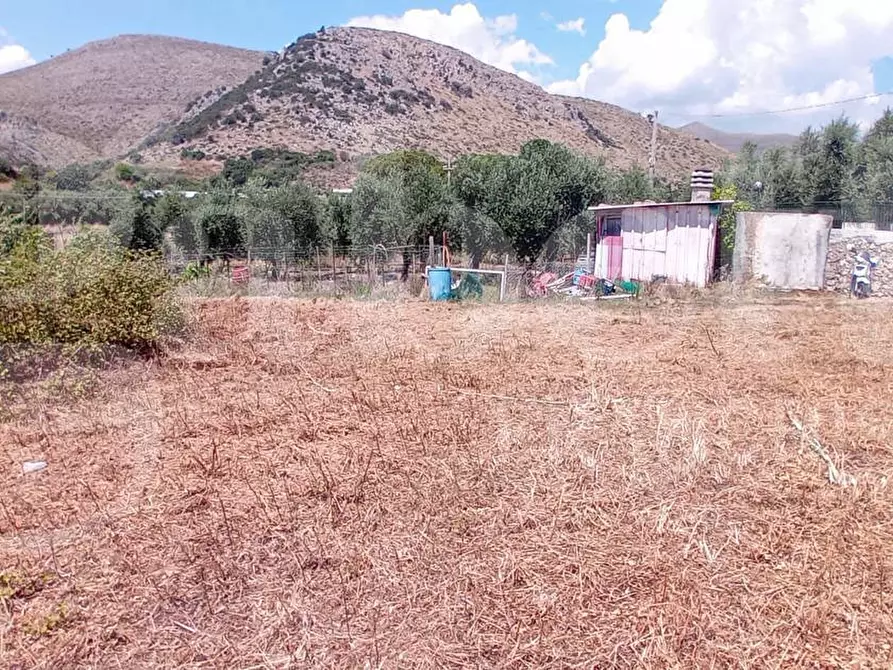 Immagine 7 di Terreno agricolo in vendita  in LocalitÃ  San Vito, s.n.c. a Gaeta