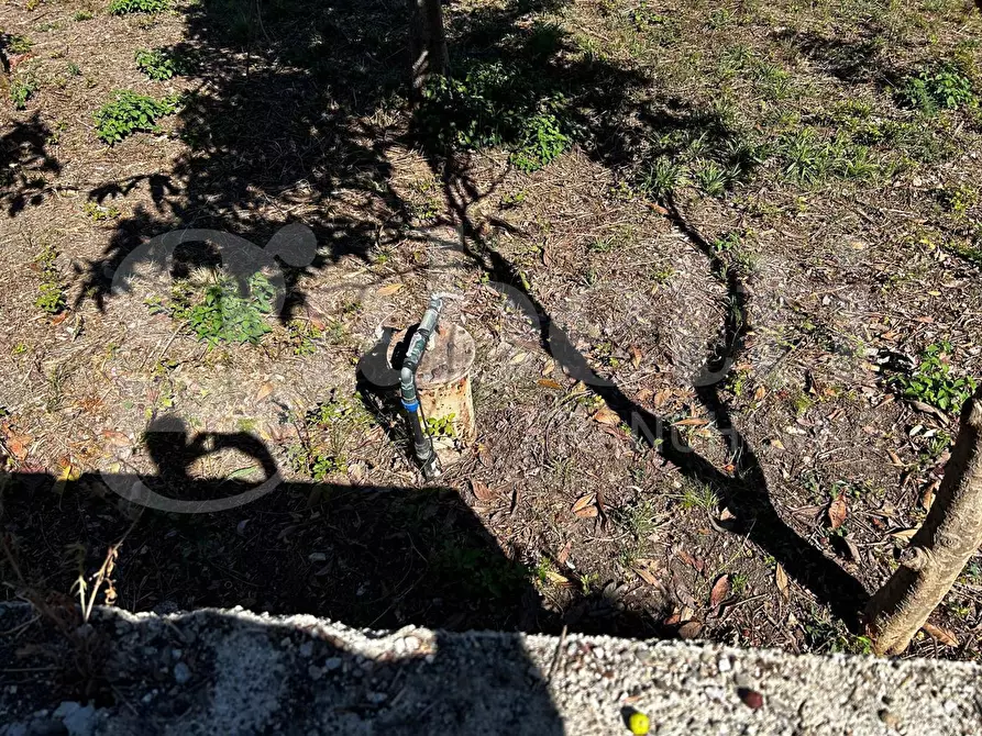Immagine 3 di Terreno agricolo in vendita  in Contrada Ortoliuzzo, snc a Messina