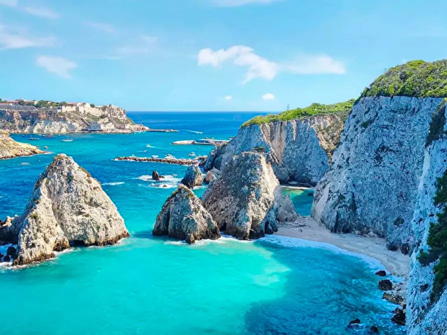 Immagine 7 di Palazzo in vendita  in Via DEI PLATANI a Lesina