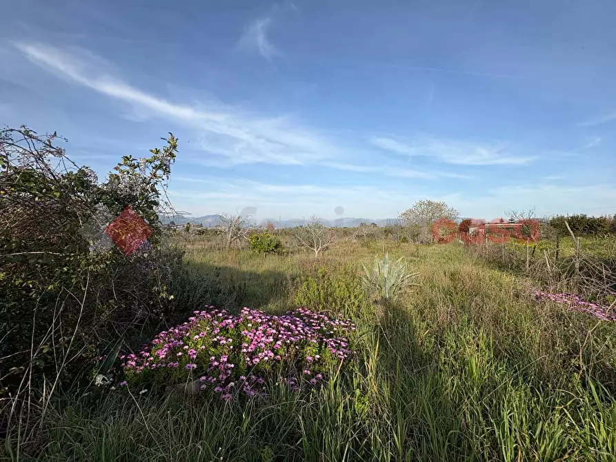 Immagine 7 di Terreno agricolo in vendita  in Via CHIANCHIARELLE, 14 a Fondi