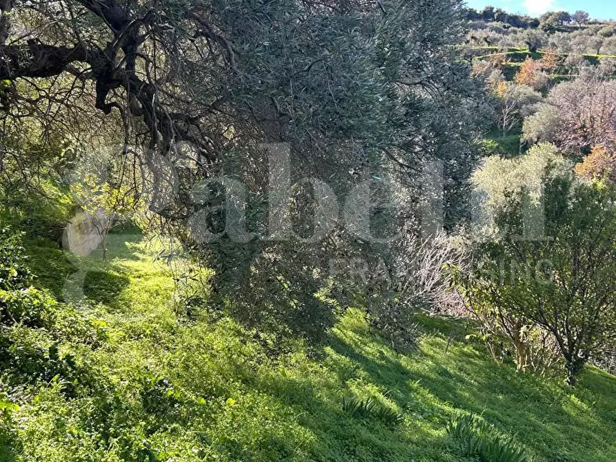Immagine 38 di Villa in vendita  in Contrada santo stefano, 165/A a Gioiosa Marea