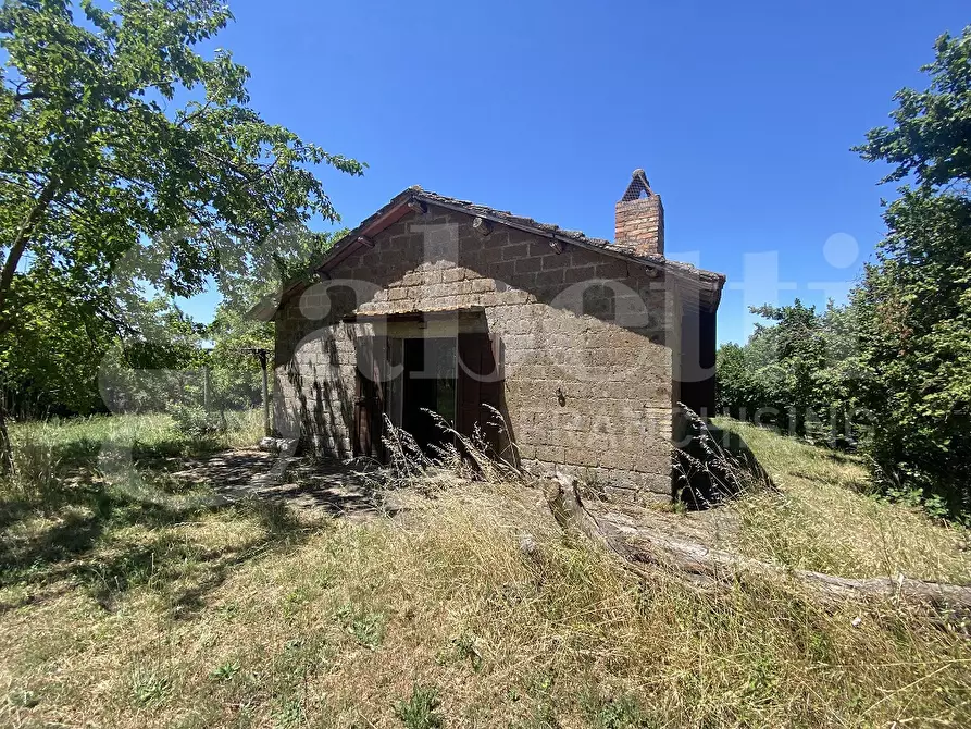 Immagine 14 di Rustico / casale in vendita  in Via DEL CONDOTTINO, 00 a Manziana