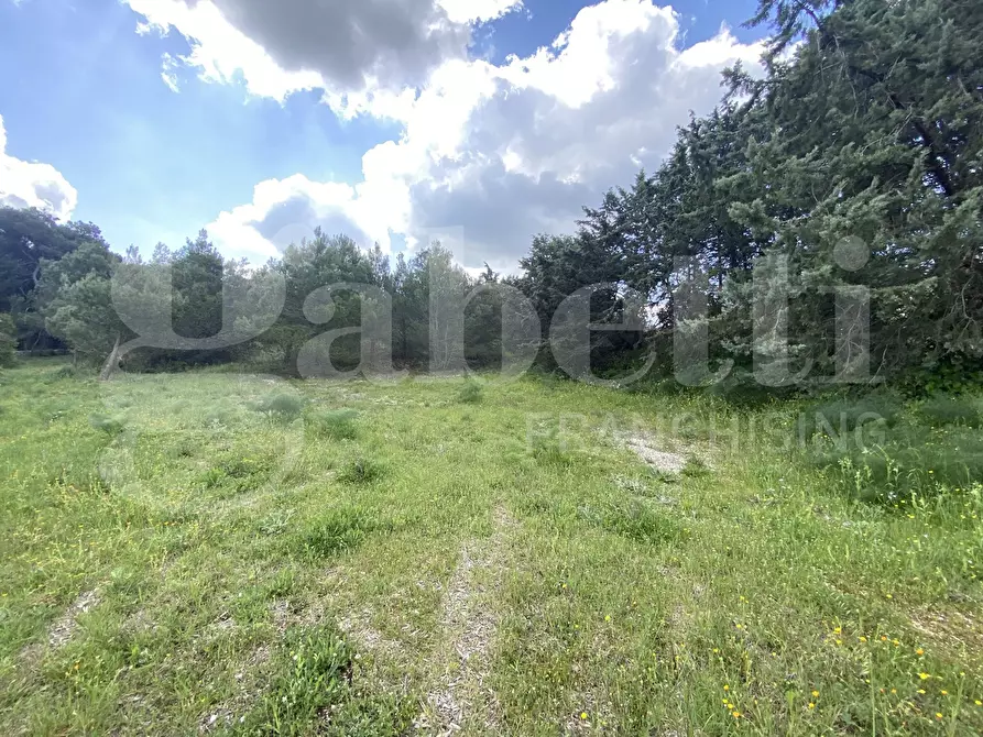 Immagine 18 di Villa in vendita  in Via S.P. 18, 76 a Cassano Delle Murge