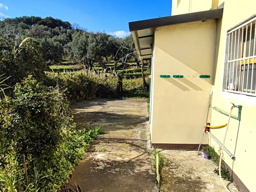 Immagine 5 di Villa in vendita  in LocalitÃ  MORTILLA, SNC a Magisano