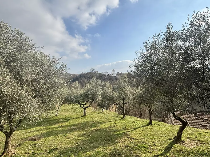 Immagine 4 di Rustico / casale in vendita  in Via Casale Basso, snc a Alatri