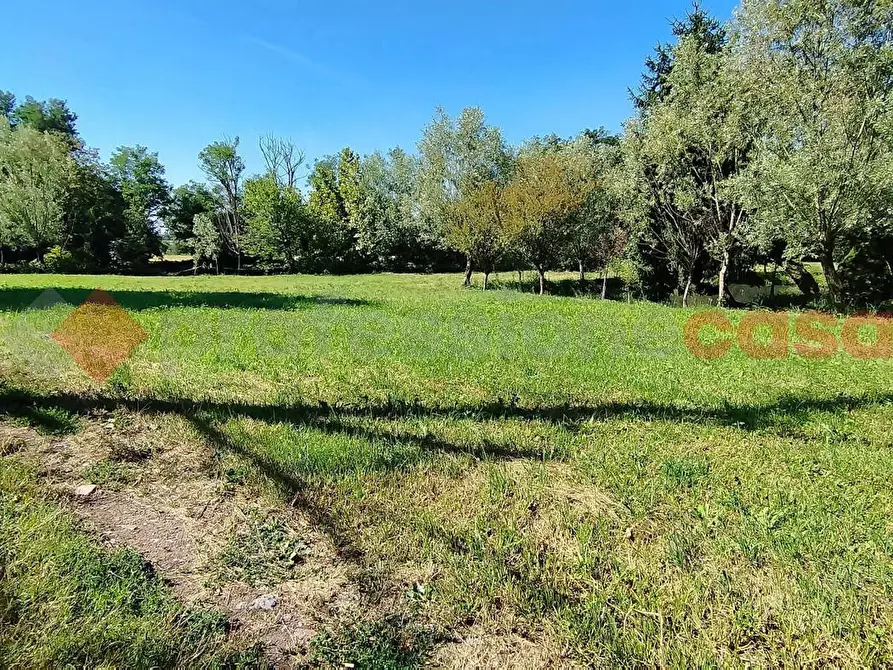 Immagine 6 di Rustico / casale in vendita  in Via G. rossa, 1 a Carpiano