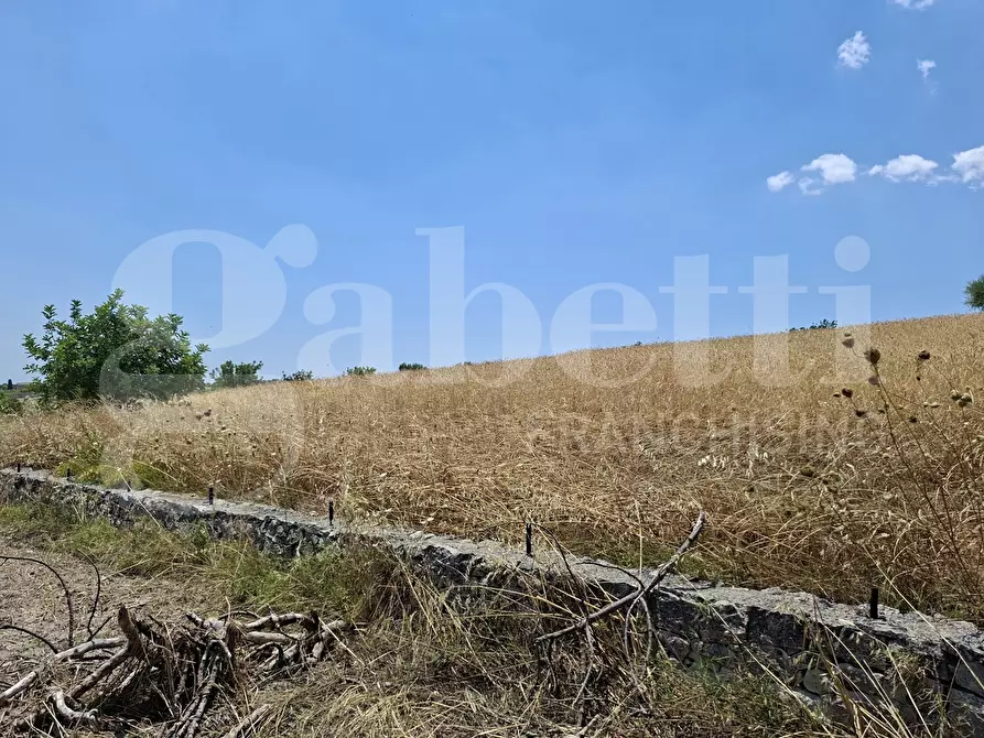 Immagine 21 di Casa indipendente in vendita  in Contrada Margione, snc a Modica