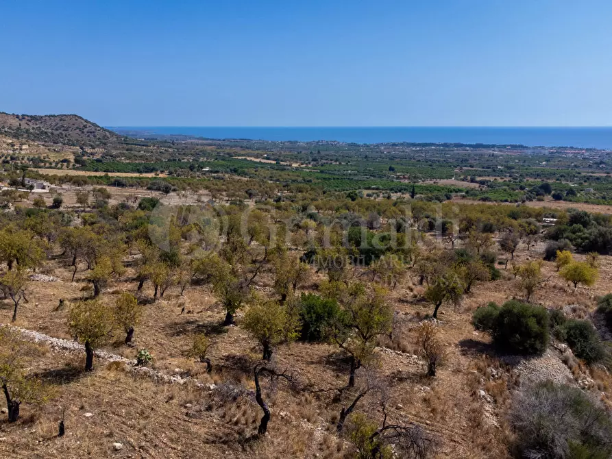 Immagine 1 di Terreno residenziale in vendita  in Contrada PETRARA, 0 a Avola