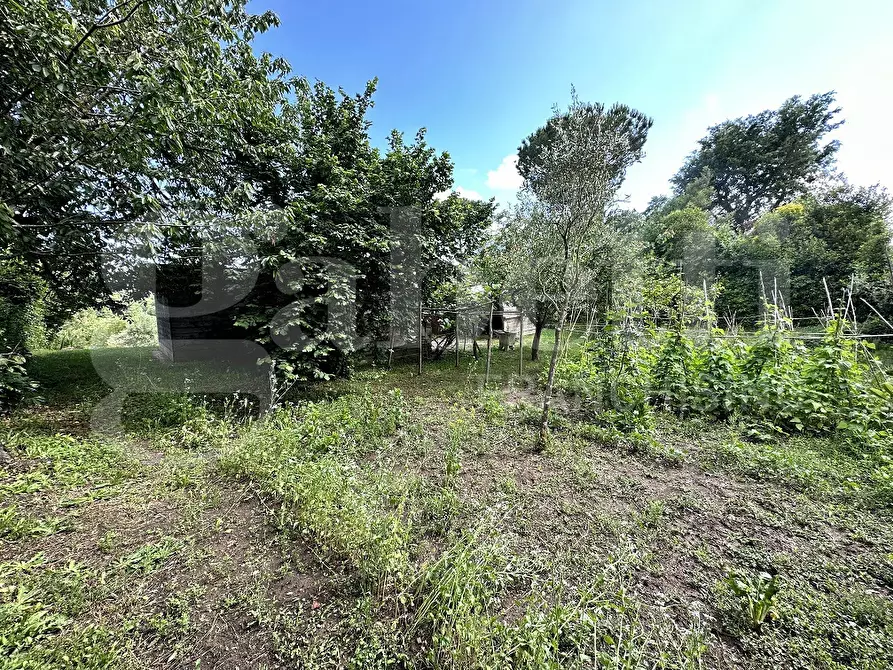 Immagine 6 di Terreno agricolo in vendita  in Via DELLA FIORA, 00 a Manziana