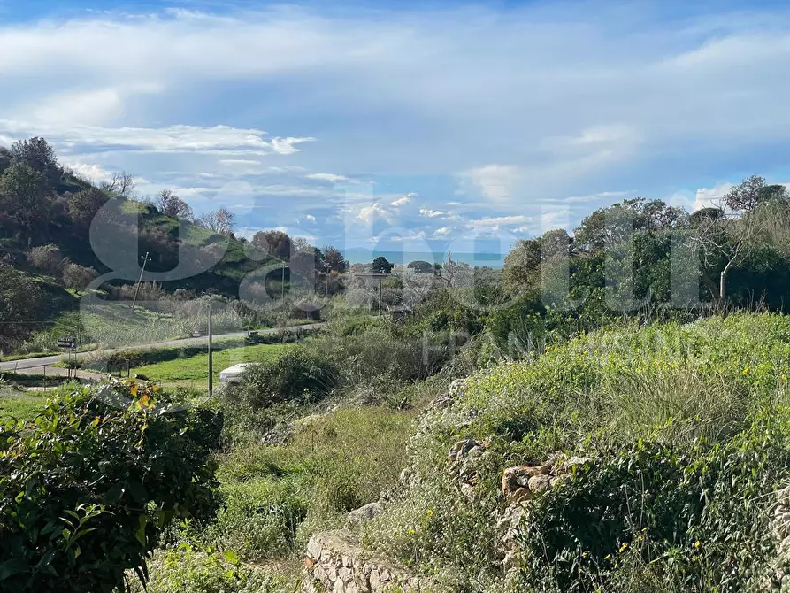 Immagine 8 di Terreno agricolo in vendita  in Via Sant'Agostino, snc a Gaeta