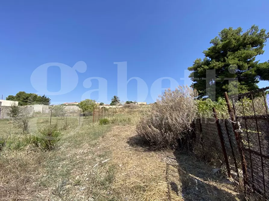 Immagine 2 di Terreno agricolo in vendita  in Via Alessandrini, snc a Maracalagonis