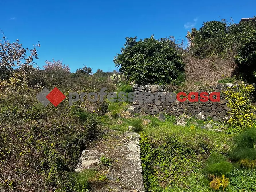 Immagine 4 di Terreno agricolo in vendita  in Via Mediterraneo, 2 a Mascalucia