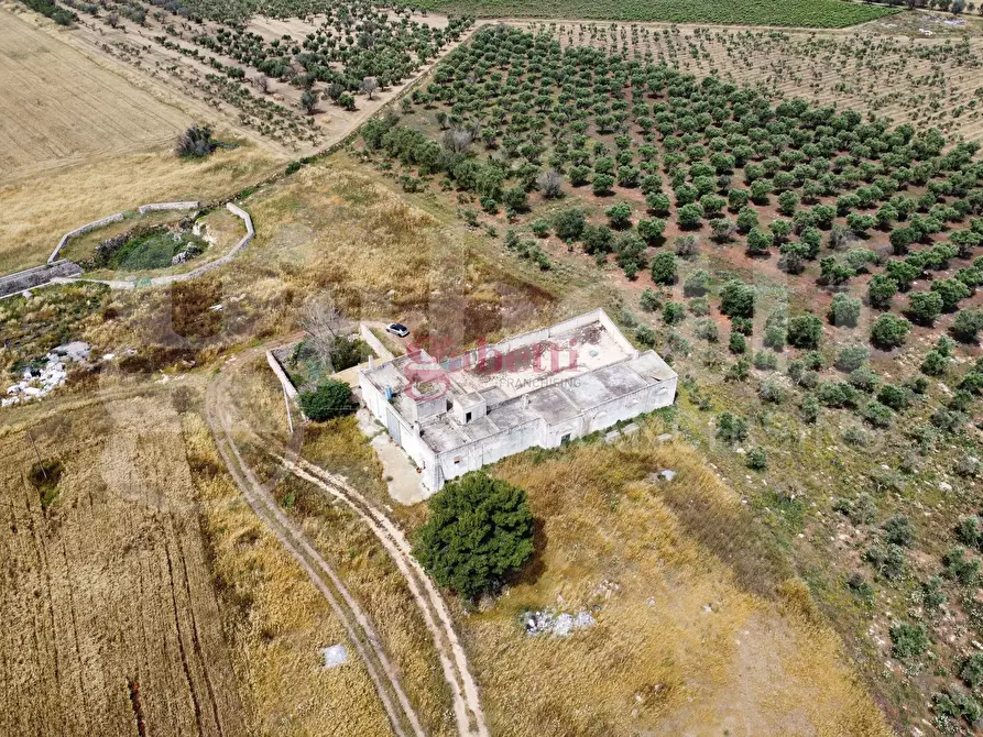 Immagine 28 di Villa in vendita  in Strada Provinciale 101, 1 a Campi Salentina