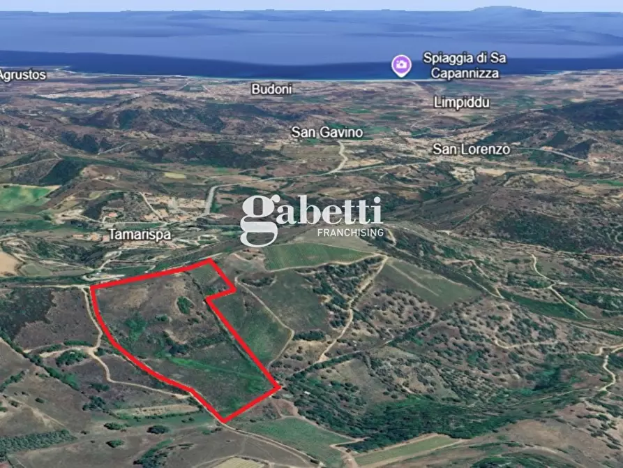 Immagine 15 di Terreno residenziale in vendita  in LocalitÃ  Giustinu, snc a Budoni