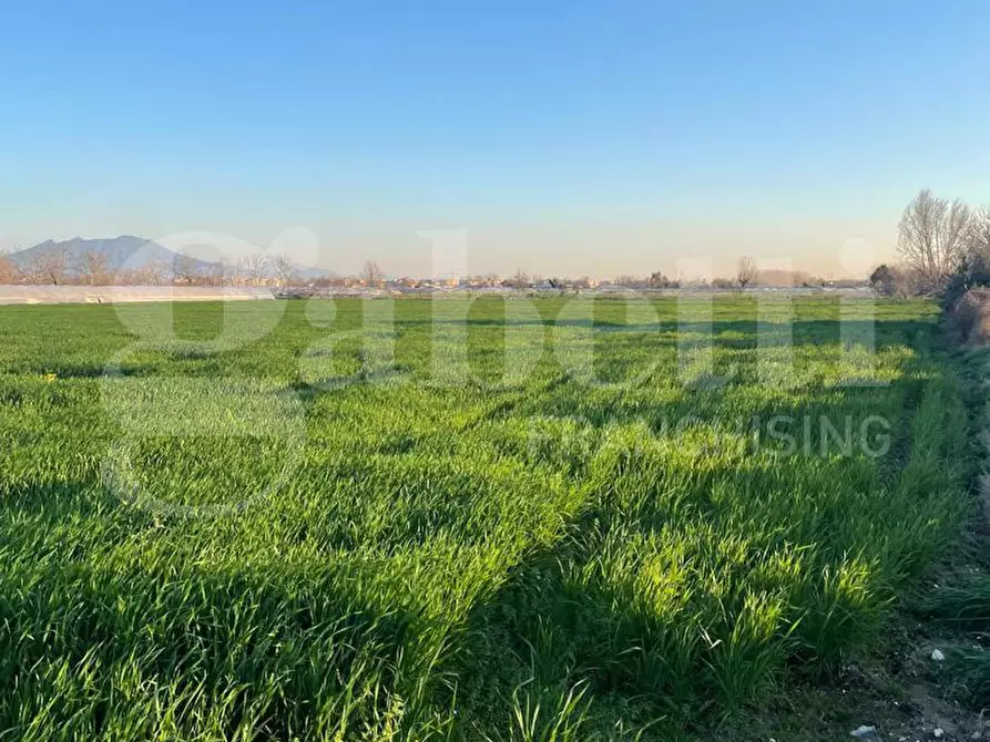 Immagine 1 di Terreno agricolo in vendita  in Via castello a Succivo