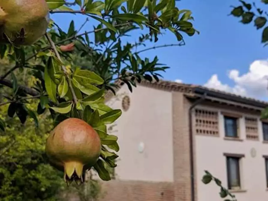 Immagine 9 di Villa in affitto  in Viale Trasimeno, 100 a Magione