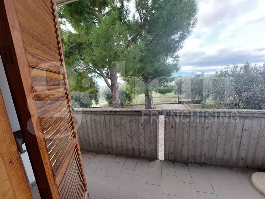 Immagine 21 di Villa in vendita  in Via Mameli, 9 a Corropoli