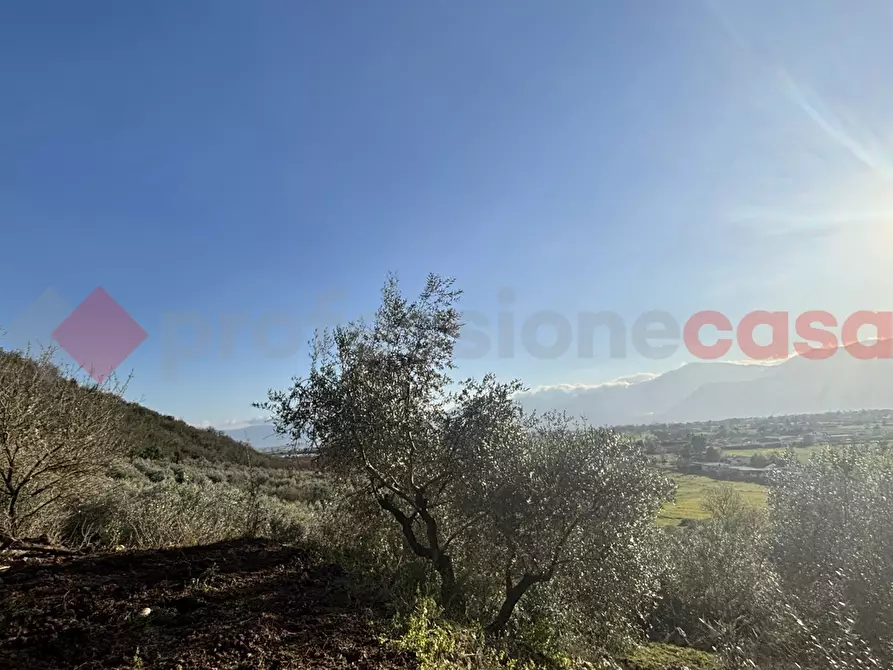 Immagine 2 di Rustico / casale in vendita  in Via Monte Radicino, SCN a Ferentino