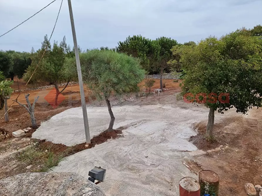 Immagine 6 di Baita in vendita  in Contrada Santo Scalone, snc a Ostuni