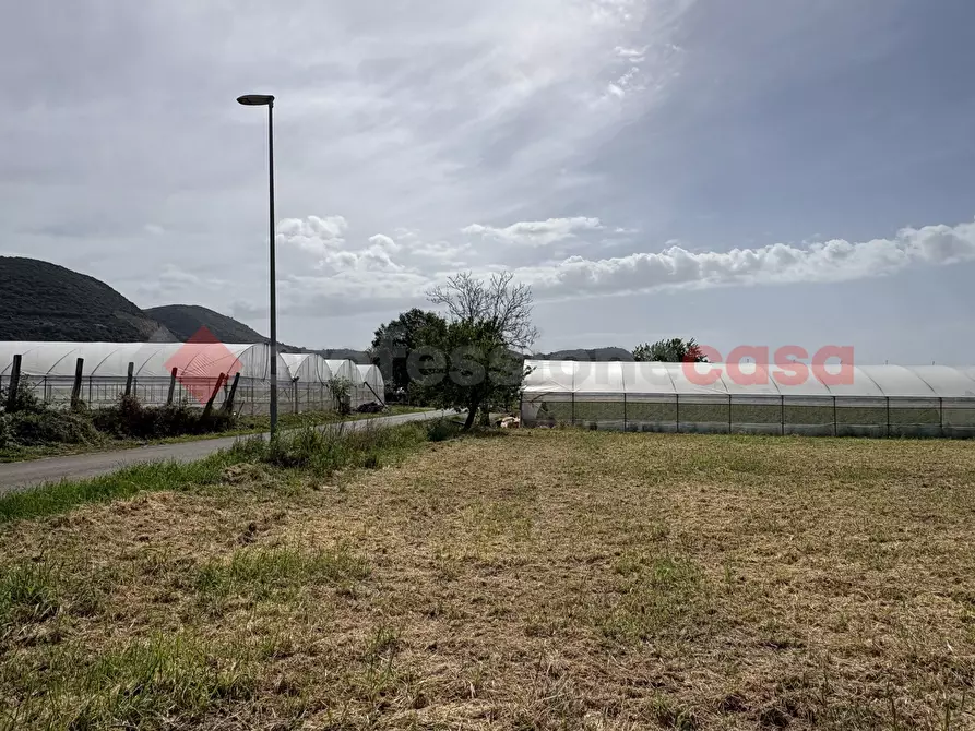 Immagine 9 di Terreno agricolo in vendita  in Via PONTE DI FERRO, 74 a Terracina