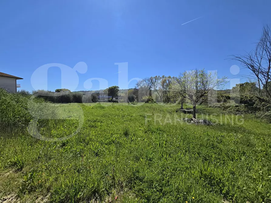 Immagine 6 di Terreno residenziale in vendita  in Via salino, 83 a Tortoreto