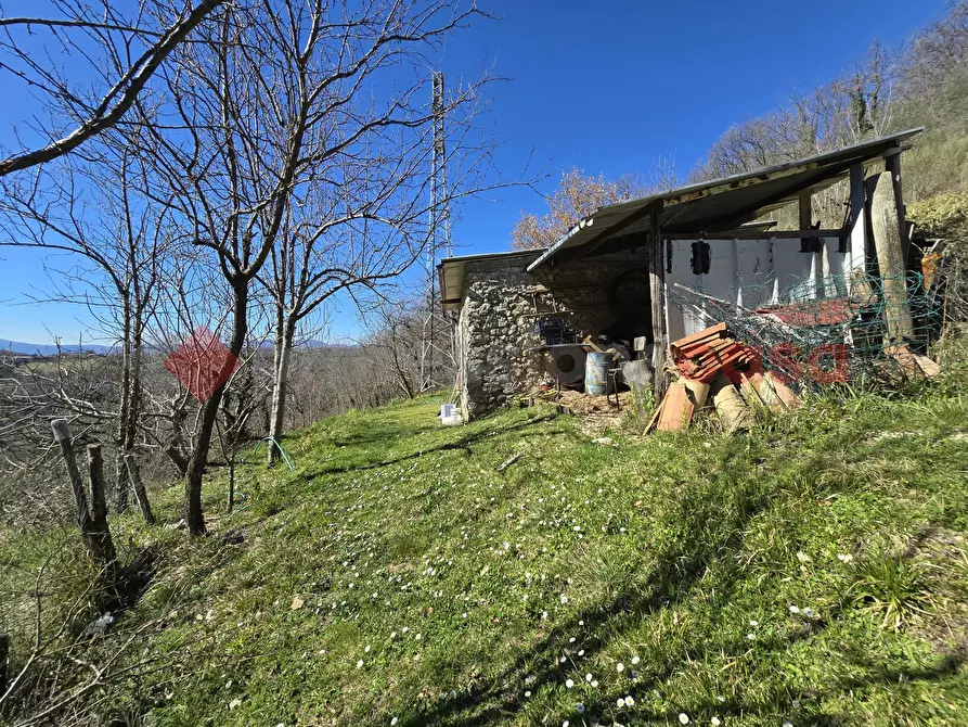 Immagine 15 di Terreno agricolo in vendita  in Via del Cerenaro, snc a Rieti