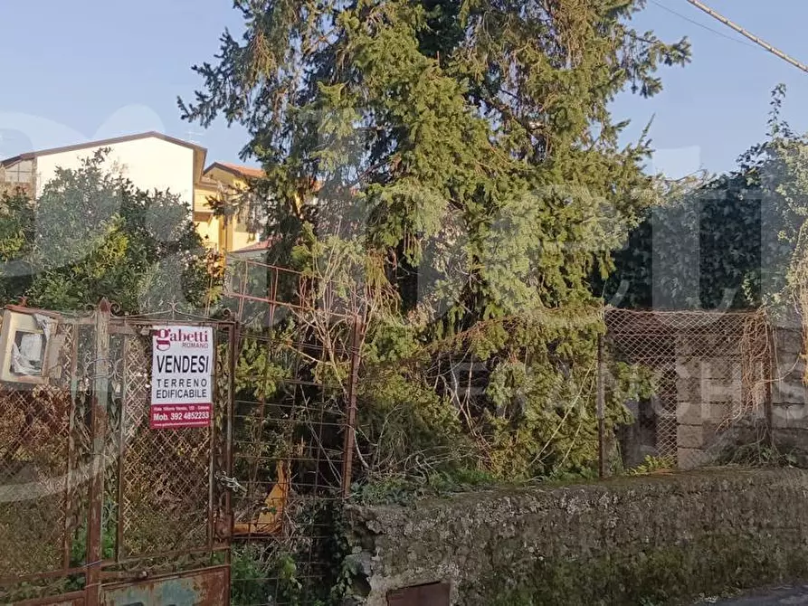 Immagine 7 di Terreno residenziale in vendita  in Via Regalotto, 12 a Pedara