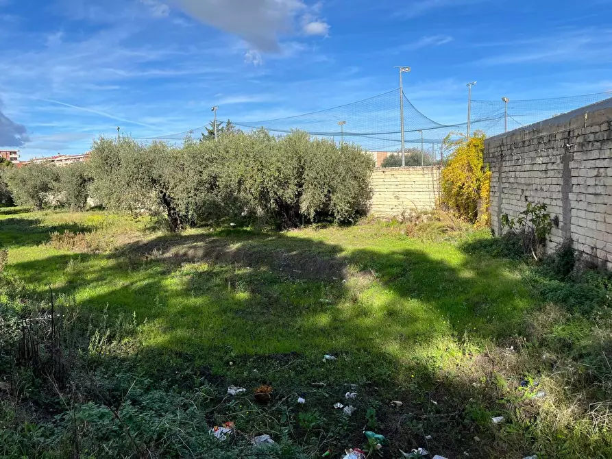 Immagine 6 di Terreno residenziale in vendita  in Via LITTERO a San Severo