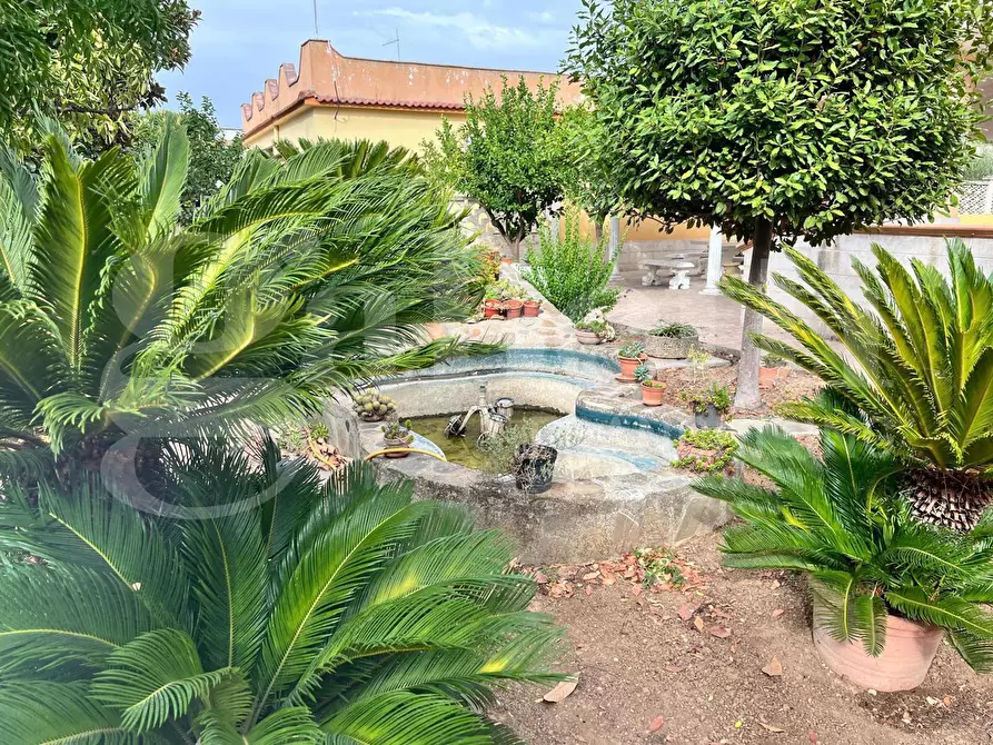 Immagine 2 di Casa bifamiliare in vendita  in Via PETUNIE, 2 a Taranto