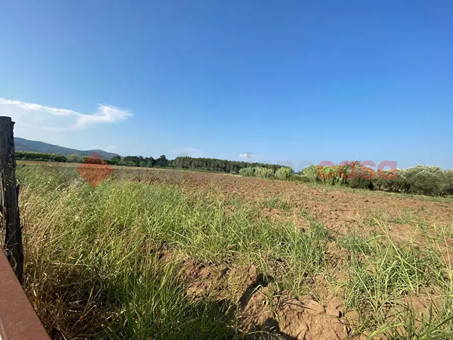 Immagine 14 di Terreno agricolo in vendita  in LocalitÃ  Starzella, SNC a Falciano Del Massico