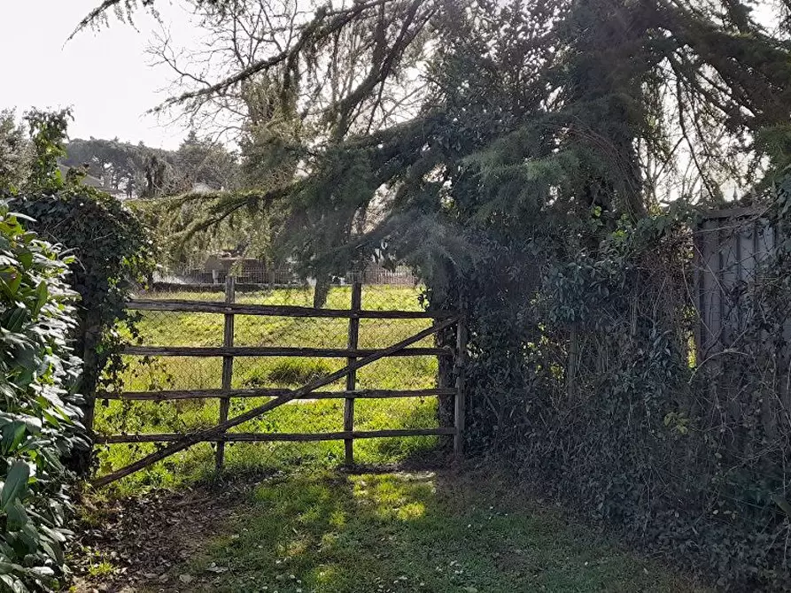 Immagine 3 di Terreno residenziale in vendita  in Via VIGNA DI VALLE, 00 a Manziana