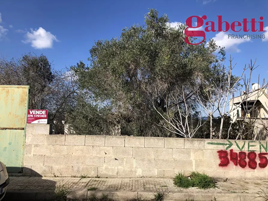 Immagine 3 di Terreno agricolo in vendita  in Via Fiore a Gallipoli