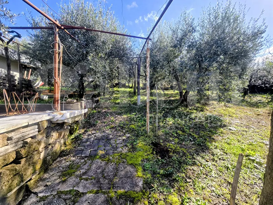 Immagine 16 di Rustico / casale in vendita  in Via Fonte del Colle, snc a Artena
