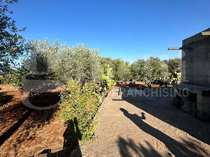 Immagine 6 di Terreno agricolo in vendita  in Contrada Salinola a Ostuni