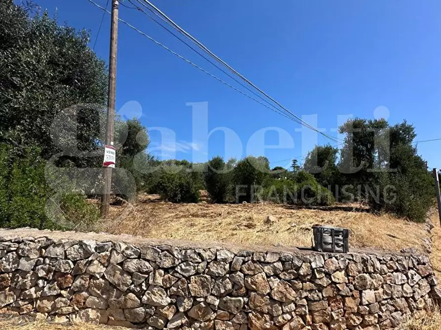 Immagine 10 di Terreno agricolo in vendita  in Contrada Campanile a Ostuni