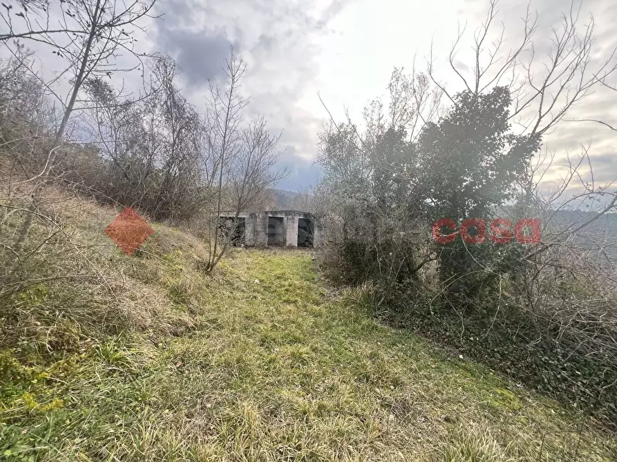 Immagine 4 di Terreno agricolo in vendita  in LocalitÃ  Rubbiano a Spoleto
