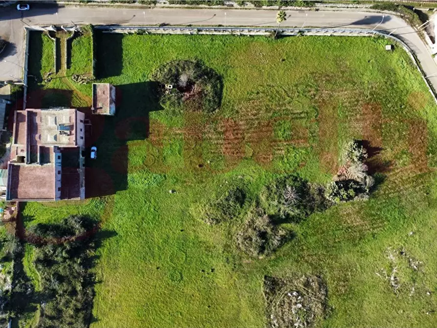 Immagine 8 di Villa in vendita  in Via stazione, snc a Zollino