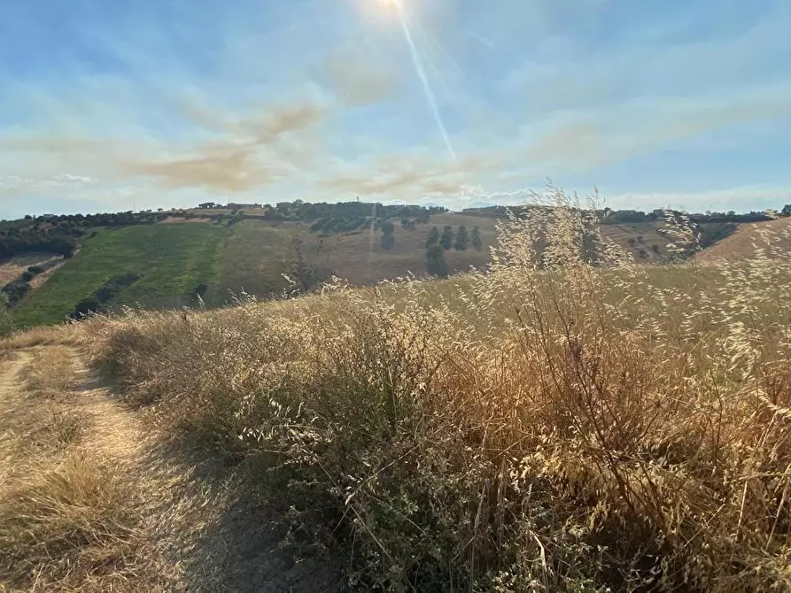 Immagine 9 di Terreno agricolo in vendita  in LocalitÃ  Centovie, 0 a Roseto Degli Abruzzi