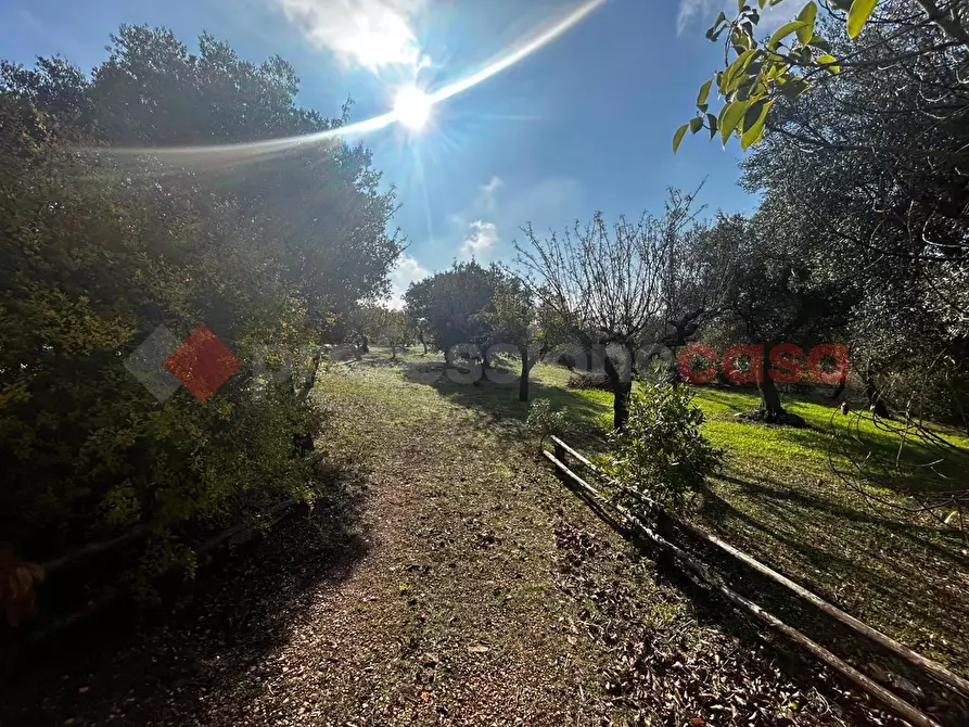 Immagine 12 di Casa indipendente in vendita  in Contrada ZINGARELLO a Monopoli