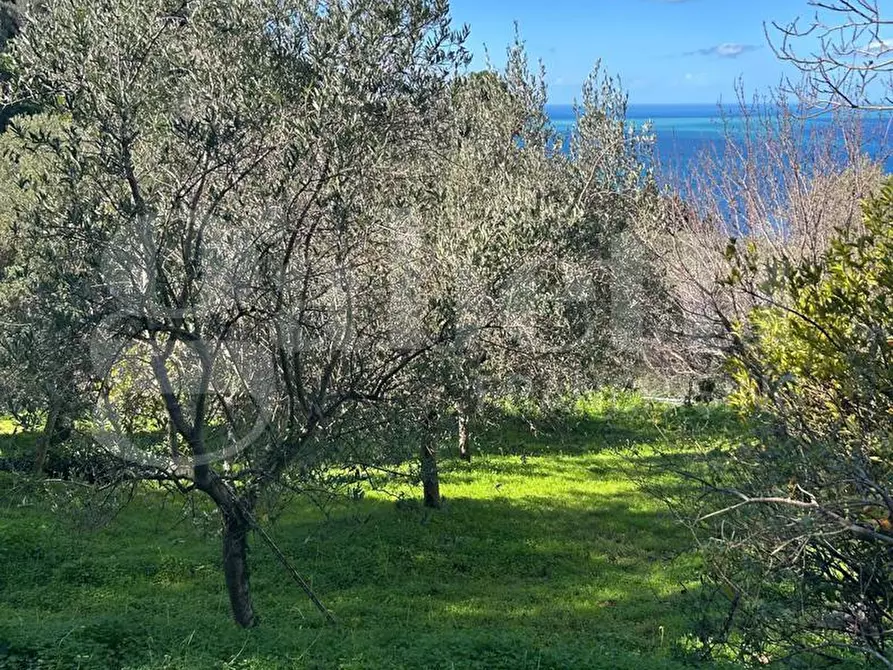 Immagine 39 di Villa in vendita  in Contrada santo stefano, 165/A a Gioiosa Marea
